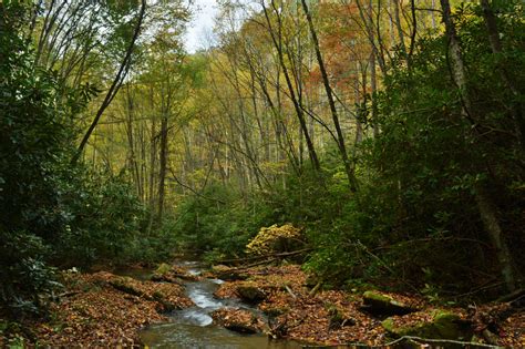 Nantahala National Forest Upper Sols Creek Falls Cullowhee North