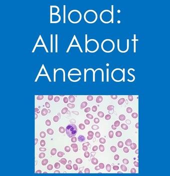 Blood All About Anemias Matching Terms Hematology Nursing Health