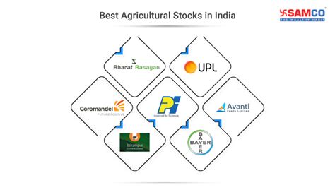 Top Agriculture In India To Buy In Best Agriculture Stocks In