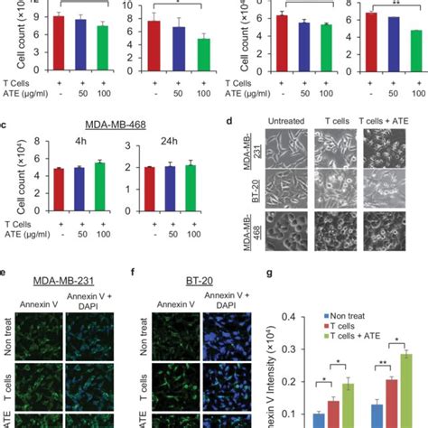 Expression Of Pd L1 In Tnbc Cells A Protein Expression Of Pd L1 Was