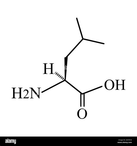 Amino acid Leucine. Chemical molecular formula of amino acid leucine ...