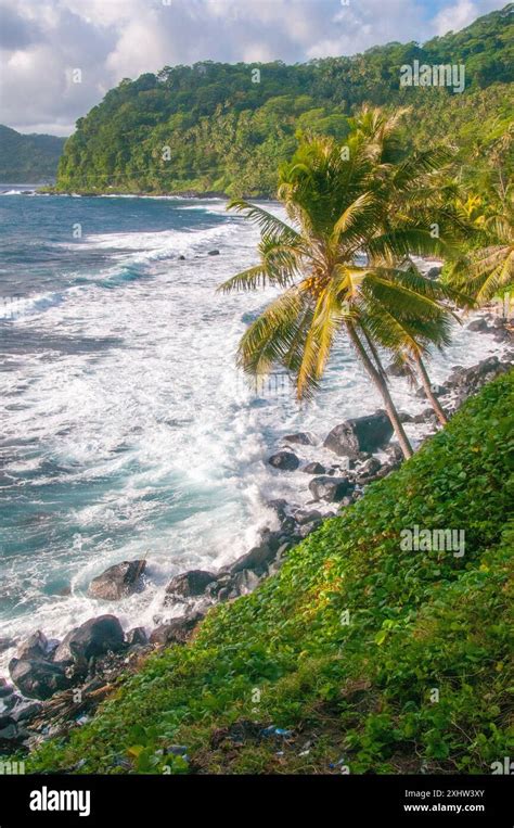 Upolu Hi Res Stock Photography And Images Alamy