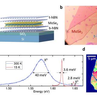 A Schematic Drawing Of The Sample The Mose Monolayer Is