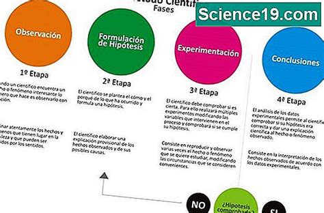 Experimentos De Biolog A Sobre La Fermentaci N De La Levadura Portal