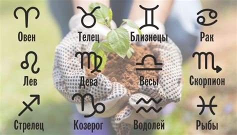 Лунный посевной календарь 2025 | таблица посева и посадок для дачника и ...