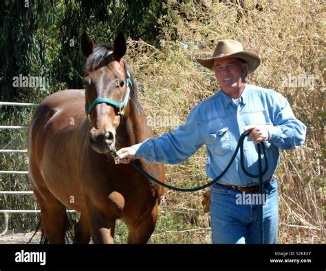 Wyoming rancher and his prized horse Stock Photo - Alamy