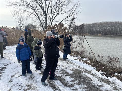 Annual Bald Eagle Tour a Unique Partnership, Public Opportunity - Empowering Michigan