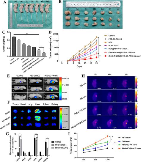 Effects Of Chemo Pdt On Tumorigenesis In Vivo A B All Mice Were