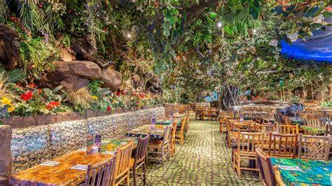 Restaurante Rainforest Cafe Chicago Gurnee Gurnee Il Opentable