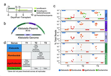 Extended Spectrum Beta Lactamase Genes Are Associated With Both