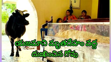 మోరి గ్రామంలో వింత ఘటన Youtube