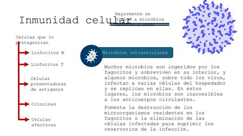 Introducci N Al Sistema Inmunitario Pptx