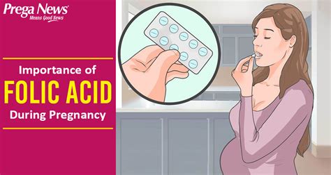 Importance Of Folic Acid During Pregnancy