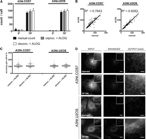 Lipid Droplet Quantification Based On Iterative Image Processing S