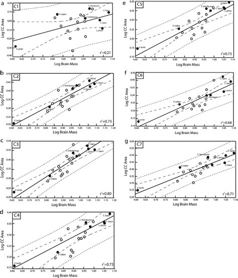 Regression Analysis Of The Cross Sectional Area Of Cc Subcomponents Download Scientific Diagram