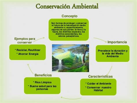 Conservacion Ambiental