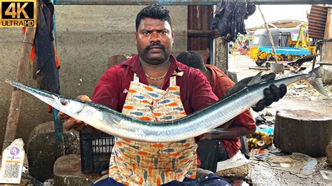 Kasimedu Speed Selvam Oosi Kola Fish Cutting In Kasimedu K