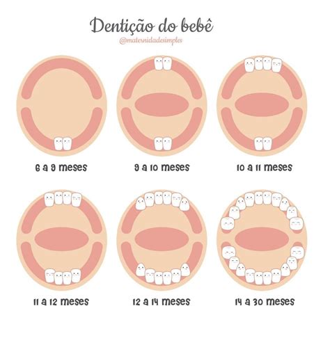 Quando nascem os dentes do bebê Confira esse gráfico da dentição do