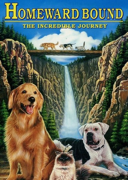 Homeward Bound: The Incredible Journey (2013) Fan Casting on myCast