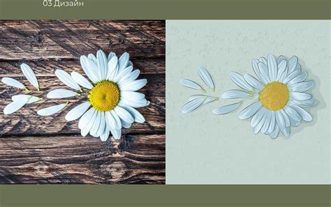 illustrated highlights (илюстрированные хайлайтсы ) on Behance