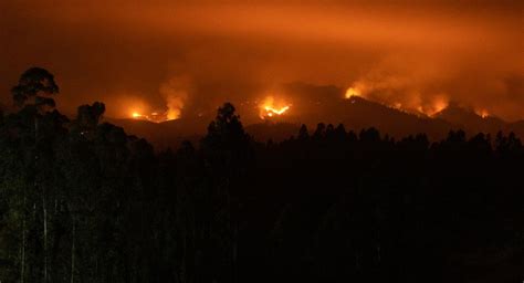 Chile continúan los incendios forestales que ya dejan 24 muertos y más