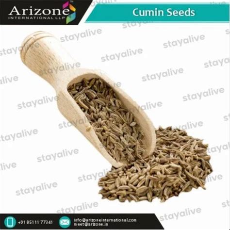 Arizone Brown Cumin Seeds Jeera Packaging Type Pp Liner Bag At Rs