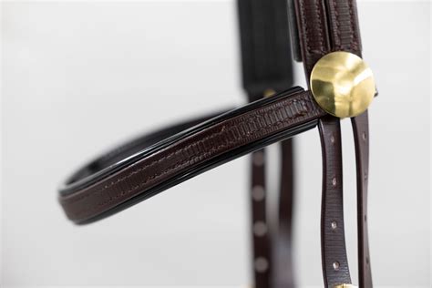 Racing Bridles Canter For Cancer Nz