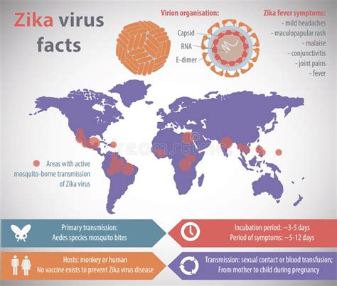 Virus Di Zika Infographic Illustrazione Vettoriale Illustrazione Di