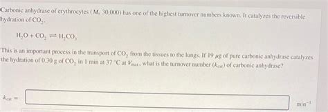 Solved Carbonic Anhydrase Of Erythrocytes Mr30 000 Has One Chegg