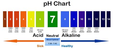 Potential of Hydrogen | Balanced Body pH