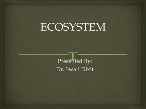 PPT - ECOSYSTEM PowerPoint Presentation, free download - ID:8852276