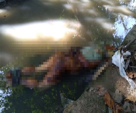 Notícias Imagens Fortes Corpo De Homem Nu Da Cintura Para Baixo E Com As Mãos E Pés Amarrados