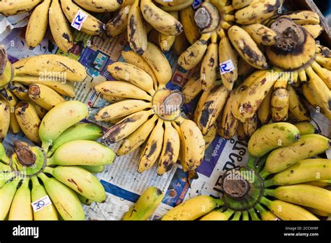 Bunches Of Bananas At A Local Market In Chiang Mai Stock Photo Alamy