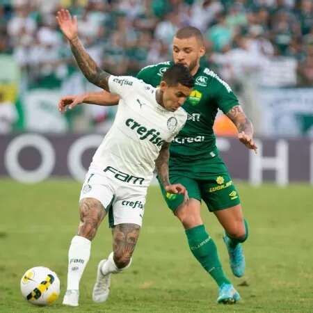 Campe O Palmeiras Fica No Empate Contra O Cuiab Esportes Campo