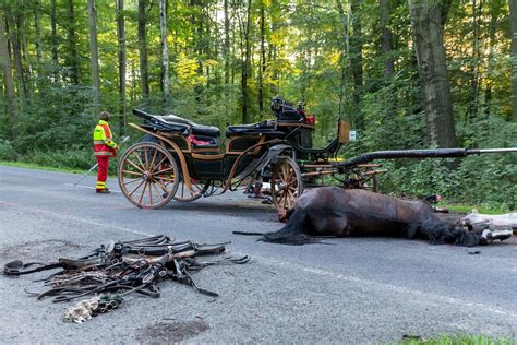 Biker Stirbt Nach Unfall Mit Kutsche B Z Berlin