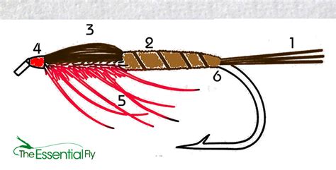 Tying Nymph Fly patterns