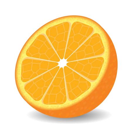 Premium Vector | Orange half on white background.