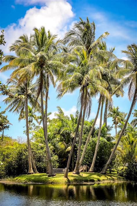 Uno De Los Mejores Jardines Nicos Del Mundo Est En Miami