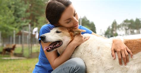 Adoption dun animal de compagnie quelles sont les démarches à suivre