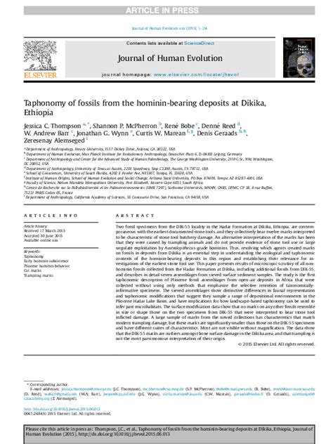 (PDF) Fossil Taphonomy and Tool Use at Dikika, Ethiopia