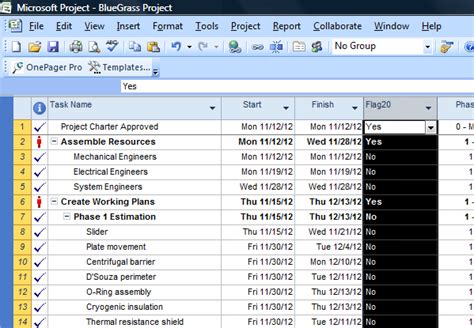 Microsoft Project 2007 Timeline View OnePager Pro