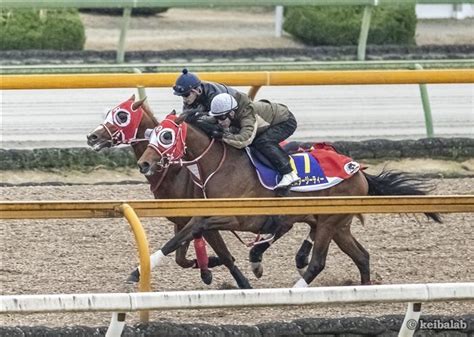 シンエンペラー Shin Emperorfr 競走馬データベース 競馬ラボ