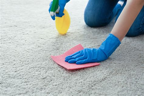 How To Clean Your Carpet A Few Good Tips Underlay 4u