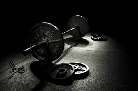 Gym Weights Wallpaper Wall Mural