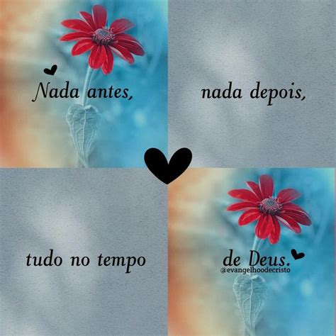 Three Different Pictures With The Words Nadda Anes Nadda Depois And