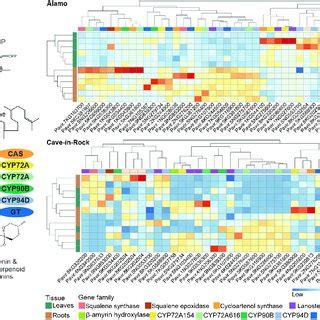 Hierarchical Cluster Analysis Of Select Genes With Known Or Predicted