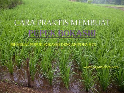 Cara Praktis Membuat Pupuk Bokashi Ppt