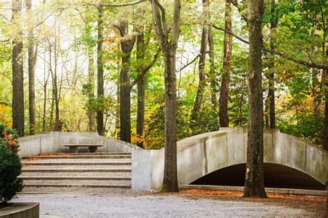 Stone Steps And Bridge At Theodore Roosevelt Island In Washington Dc