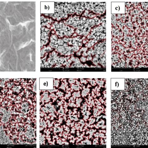 Morphology Of Ti Cu Double Doped Zno Thin Films With Varying Annealing