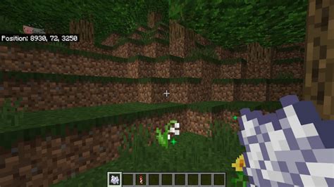 Lily Of The Valley 101 A Complete Guide Minecraftvault